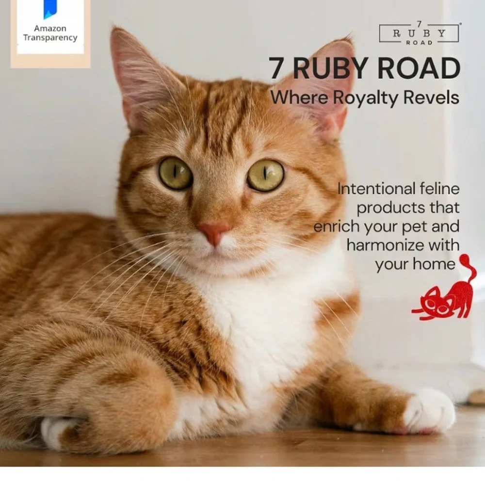 2 new anti-whisker fatigue cat food bowls by 7 Ruby Road